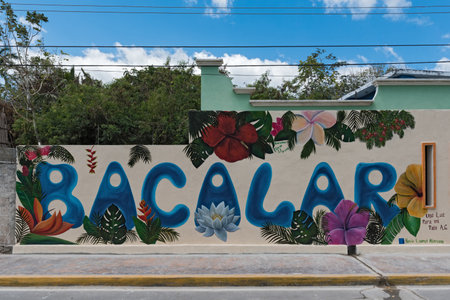 street art on a house wall in the center of bacalar, quintana roo, mexicoのeditorial素材