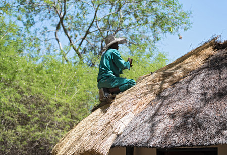 roofer repairs the thatched roof of a house, botswana, africaのeditorial素材