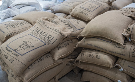 coffee beans packed in jute bags for exportのeditorial素材