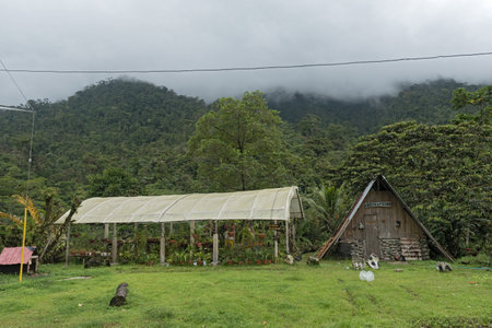 small horticulture business in fortuna forest reserve panamaのeditorial素材