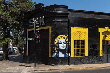 Street art mural, graffiti in the capital of Chile, Santiagoのeditorial素材