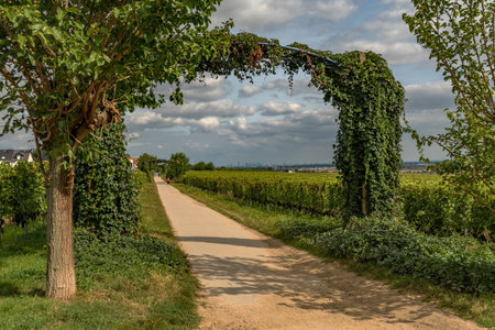 View from the Floersheimer viewpoint on Frankfurt and the Rhein Main plain, Germany
