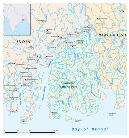 vector map of india national park sundarbanのイラスト素材