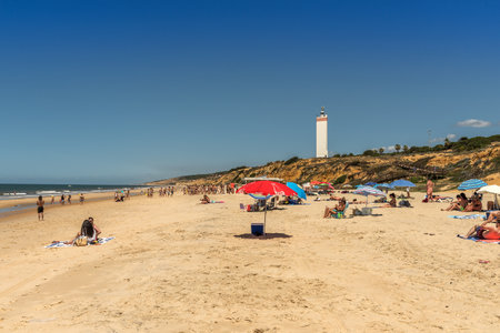 Tourists on the beach of Matalascanas, Andalusia, Spainの写真素材