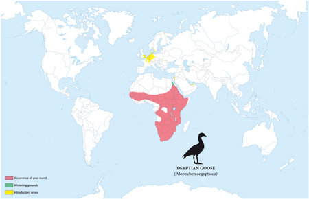 Map of the distribution and habitat of the Egyptian gooseのイラスト素材