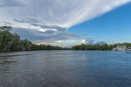 The Chiriqui River just before it enters the Gulf of ChiriquiÌ, Panamaの写真素材