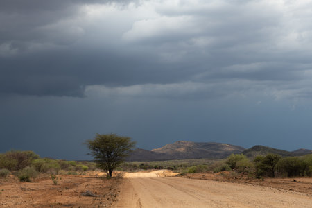 Rain clouds over the landscape near Omaruru, Namibia Copyの写真素材
