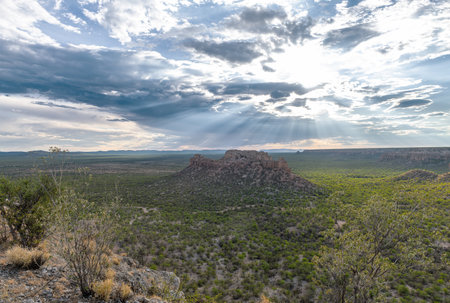 View from the Ugab Terraces into the Ugab River Valley, Namibiaの写真素材