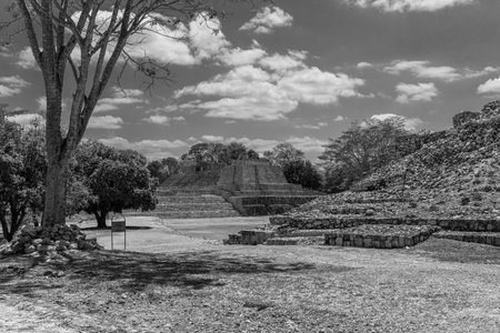 Ruins of the former Mayan city of Edzna, Campeche, Mexicoの写真素材