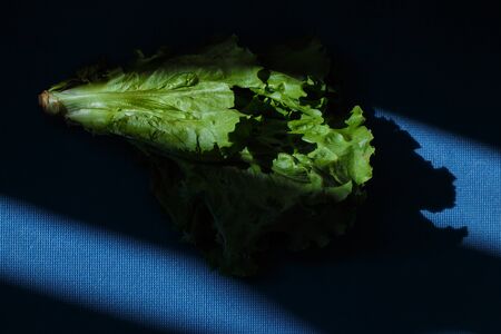 fresh green salad leafs on the dark blue backgroundの写真素材