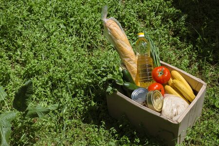Donation box with food standing on the grassの写真素材