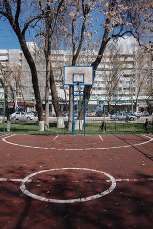 sports field in the Park in the spring. Swedish wall. sports classes for children, physical educationの写真素材