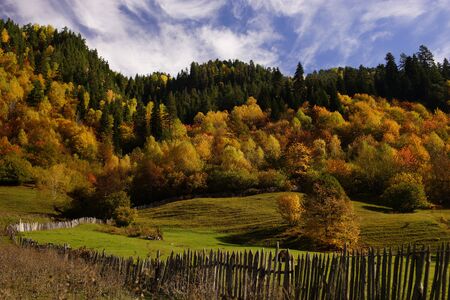 Beautiful green valley, hills with colorful autumn forest, wooden fency. Background of bright blue sky with cloudsの写真素材