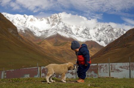Little boy playing with puppy of sheep dog on background of beautiful view snowy mountaines and...