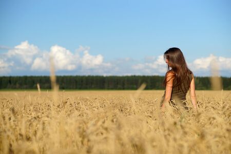 Young slim attractive woman standing waist-deep in the middle of wheat field, view from behind. Elegant girl with long hair, hands touching beige ears of wheat. Feeling freedom and enjoying lifeの写真素材