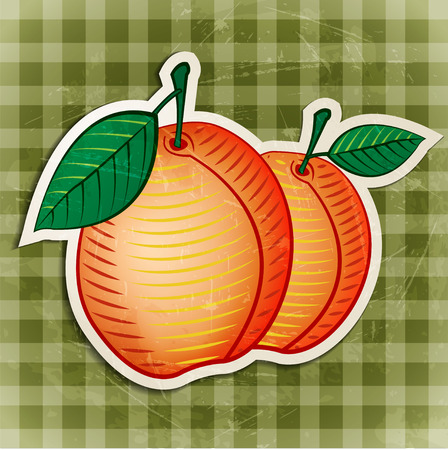 vector vintage apricot stickerのイラスト素材