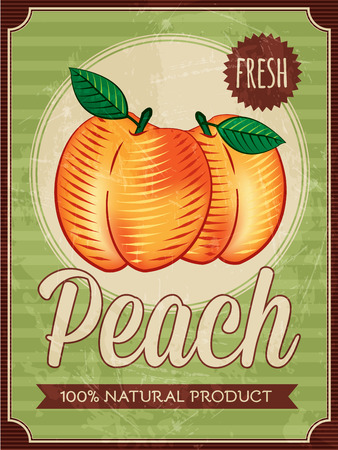 vector vintage styled peach posterのイラスト素材