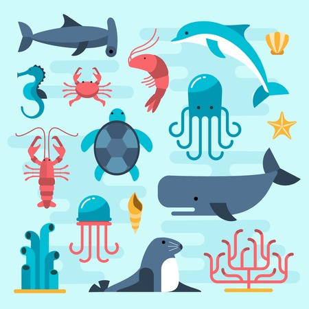 set of beautiful flat sea life, vector illustrationのイラスト素材