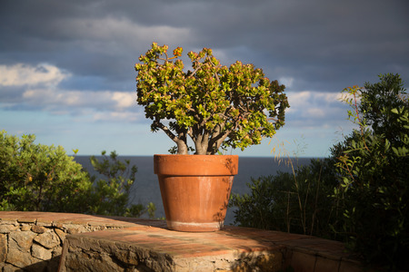 Views to the seaの写真素材