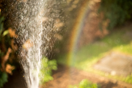 Colors of summer in the garden after watering. Rainbow.の写真素材