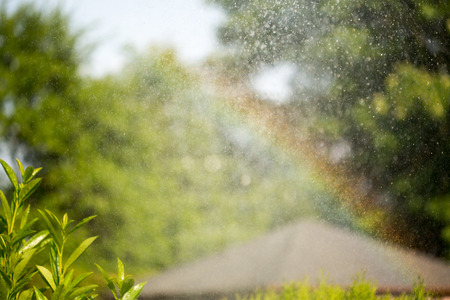 Colors of summer in the garden after watering. Rainbow.の写真素材