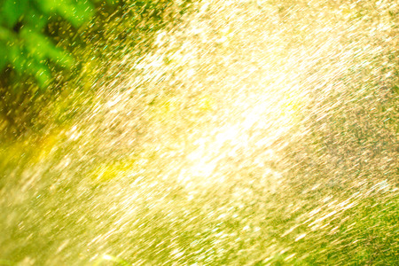 Colors of summer - in the garden after watering. Play with water and colors.の写真素材