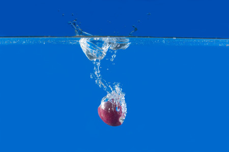 Fresh radish falling in water splash on blue backgroundの写真素材