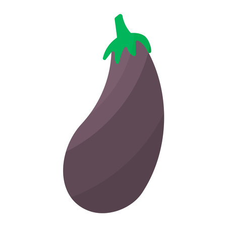 eggplant purple food vegetable health element iconのイラスト素材