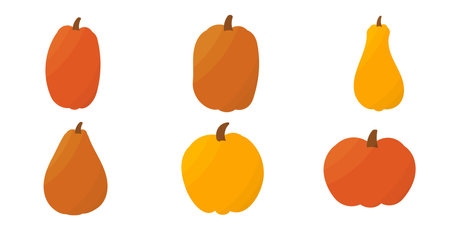pumpkins colored autumn food set garden elementsのイラスト素材