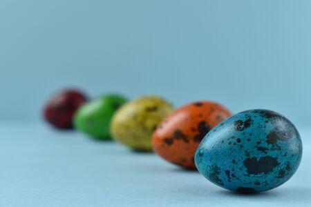 The quail eggs on a blue background. Eggs in a row. Painted quail eggs. A colored group of eggs.