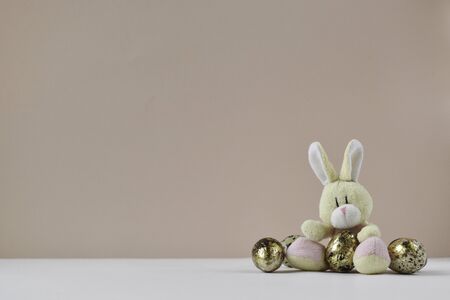 Easter cute rabbit sits with eggs. A greeting card. Easter. Banner. Its an empty place.の写真素材