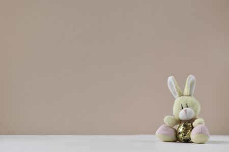 Easter cute rabbit sits with an egg. A greeting card. Easter. Banner. Its an empty place.の写真素材