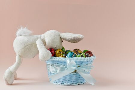 The Easter bunny sits with a bucket of eggs. Easter card. Copy spaceの写真素材