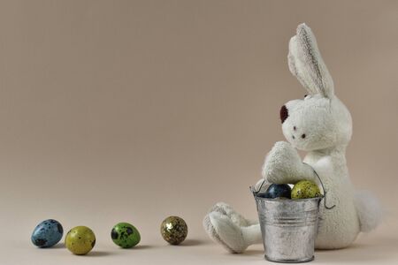 Easter eggs and a rabbit. Easter bunny with eggs. Easter card. Easter. Painted eggs. The Easter bunny sits with a bucket of eggs. Easter card. Copy spaceの写真素材