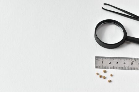 Stones on the table of the surgeon after laparoscopy, surgery to remove the gallbladder....