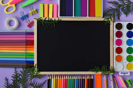 Back to school. A geometrically constructed stationery with thuja twigs has room for text.の写真素材