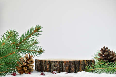 Minimal. Stump in the snow for the product presentation podium.
