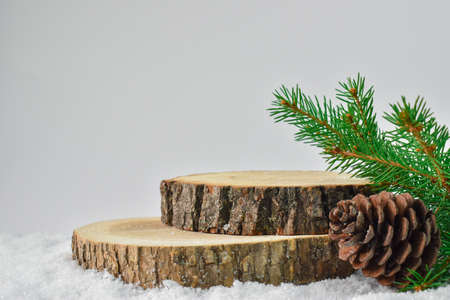 Minimal. Stump in the snow for the product presentation podium.の写真素材