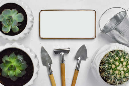 Online gardening courses. The background with the phone has a copy of the space. A variety of items for the care of plants. Flat lay. Top view.の写真素材