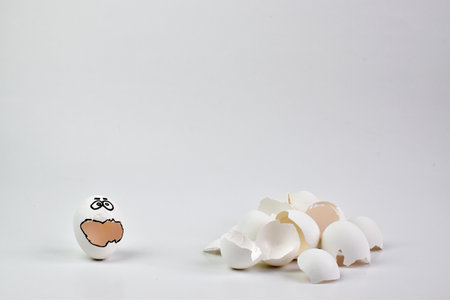 On a white background, an eggshell