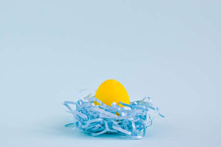 One paintedyellow egg in a blue nest on a blue background.の写真素材