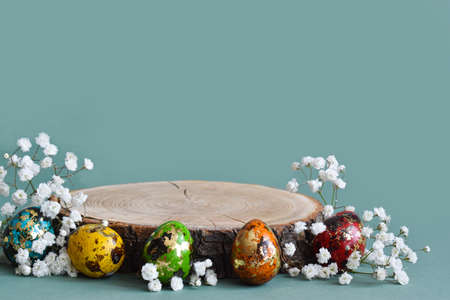 A minimalistic scene of a felled tree lies with flowers and Easter eggs on a natural background. Easter podium for the presentation.の写真素材