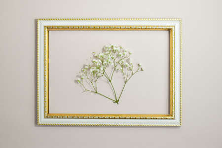 Framed with sprigs of gypsophila. Minimalism.
