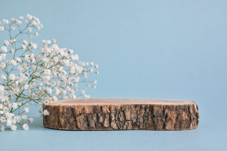 A minimalistic scene of a felled tree lies with flowers on a light blue background. Catwalk for the presentation of products and cosmetics. Showcase with a stage for natural products.の写真素材