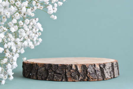A minimalistic scene of a felled tree lies with flowers on a natural background. Catwalk for the presentation of products and cosmetics. Showcase with a stage for natural products. Empty spaceの写真素材