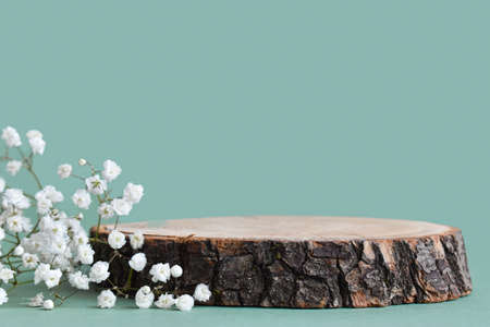 A minimalistic scene of a felled tree lies with flowers on a green background. Catwalk for the presentation of products and cosmetics. Showcase with a stage for natural products.の写真素材