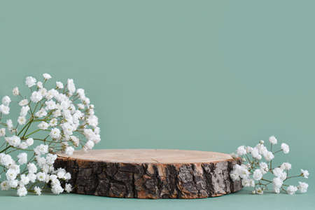 A minimalistic scene of a felled tree lies with flowers on a natural background. Catwalk for the presentation of products and cosmetics. Showcase with a stage for natural products. Empty spaceの写真素材