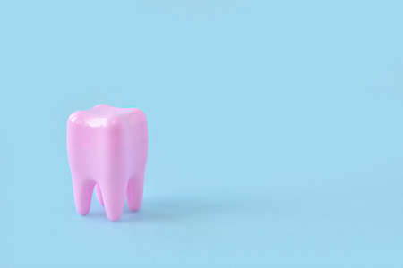 Pink tooth on a blue background with space for text.の写真素材