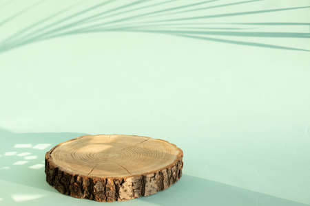 Podium for product presentation. A minimalistic scene of a felled tree lies against a green...