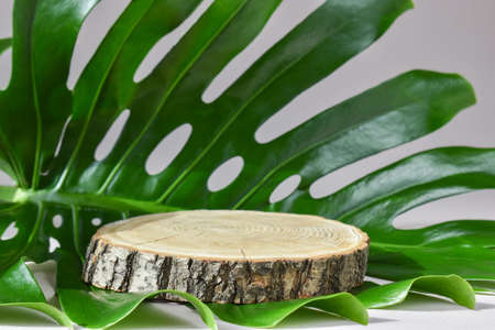 Wooden stage on a sheet with monsters for the presentation of eco-friendly products. The podium is made of natural material with space for text. A minimalistic branding scene.の写真素材